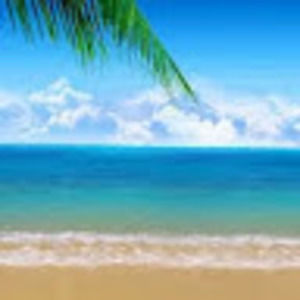 Meet your Posher, Min jung